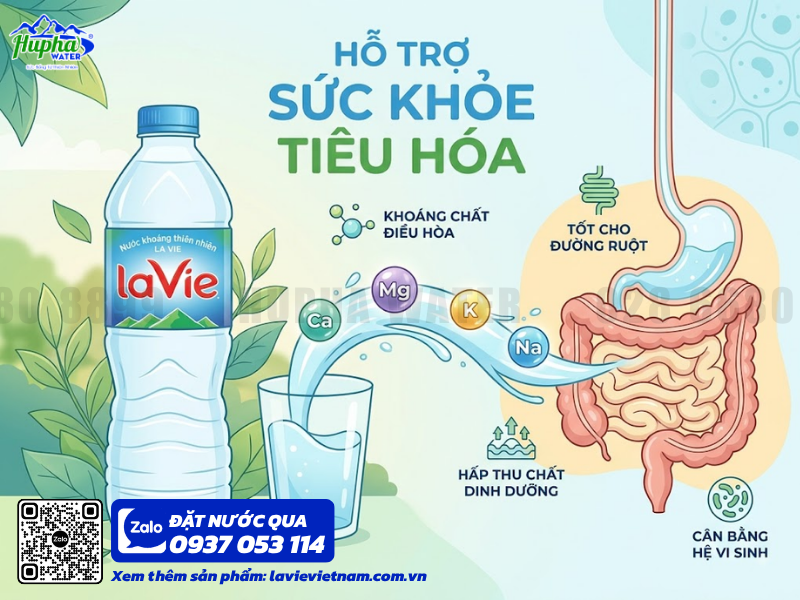 Mua LaVie Kiềm+ Cho Phòng Gym – Chủ Động Nguồn Nước, Dễ Quản Lý Và Tối Ưu Chi Phí