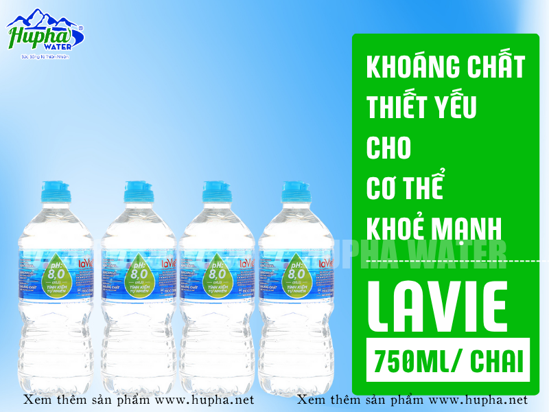 Lavie Chai Nhỏ – Giải Pháp Nước Uống Tiện Lợi Cho Cuộc Sống Năng Động