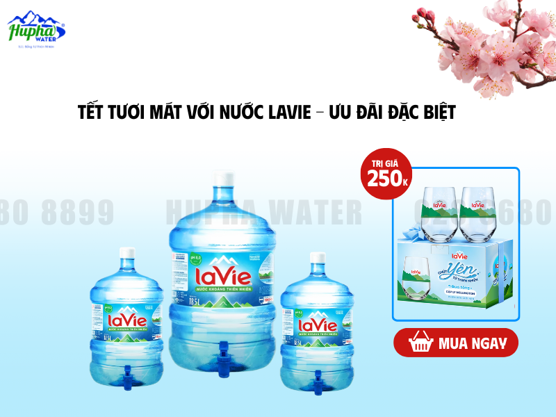 LaVie Bình 19L Giải Pháp Nước Uống Tiết Kiệm Cho Gia Đình Ngày Tết