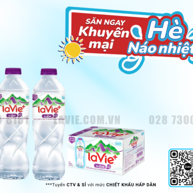 1 Thùng LaVie Kiềm+ Có Bao Nhiêu Chai? Xem Ngay Tại 02866808899