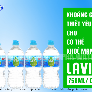 Đại Lý Lavie Chai Nhỏ Giá Tốt Tại Phường Gò Vấp