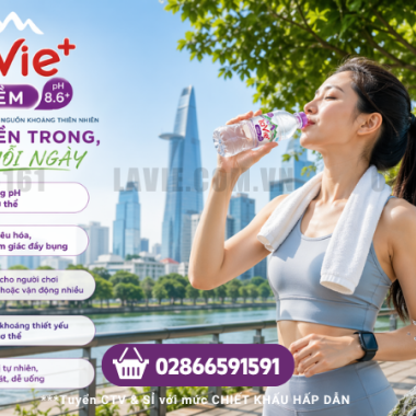 Nước LaVie Kiềm+ 500ml Thùng Bao Nhiêu Chai? Giá Mới Cập Nhật Từ Nhà Phân Phối
