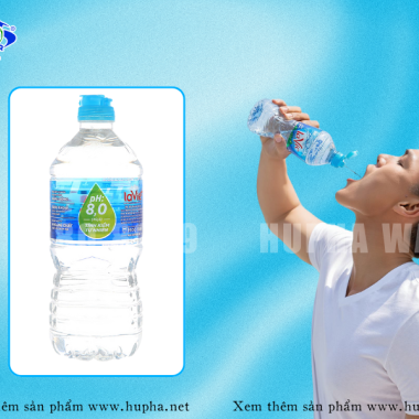 Thùng Lavie 750ml Bao Nhiêu Chai? Thông Tin Chi Tiết Và Bảng Giá